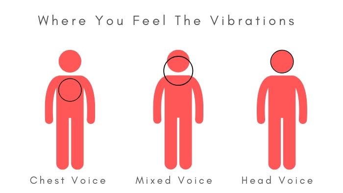Craving for the rush of head voice vibrating in your head?